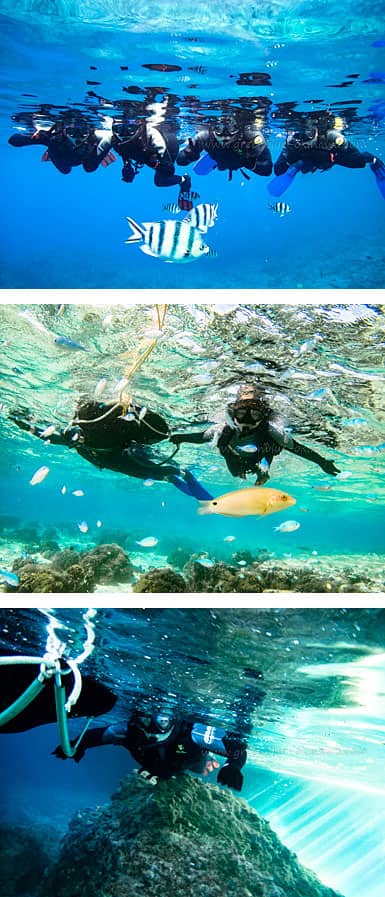 그린블루 오키나와 스탠드 업 패들 보드 스노클링 sup snorkeling (7)