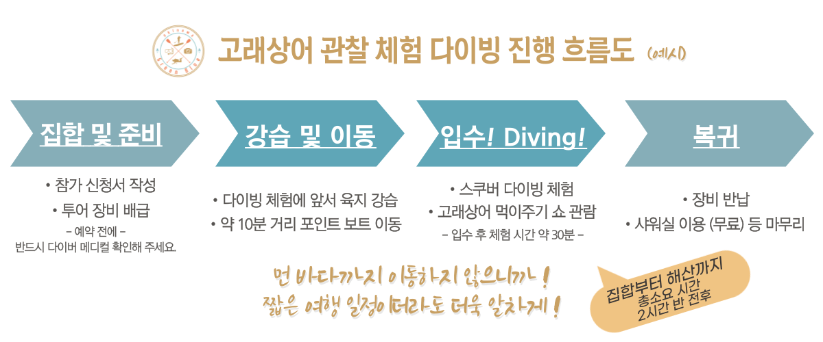 고래상어 체험 다이빙 흐름도