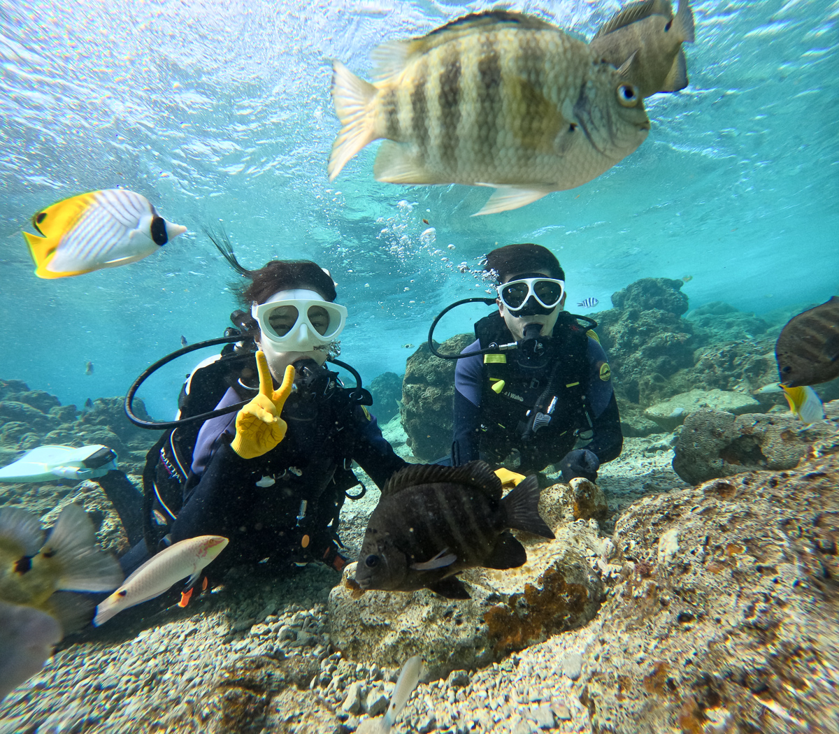 오키나와 바다 실시간