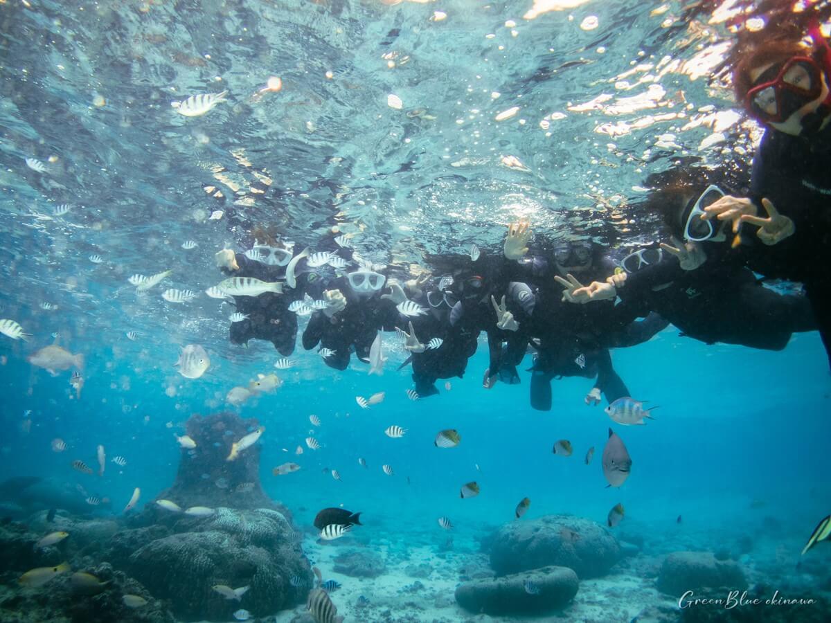 6인 이상 대가족 투어
