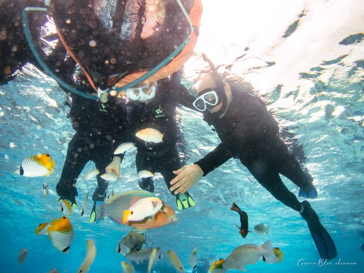 3대 가족이 열대어를 보며 환호했던 순간