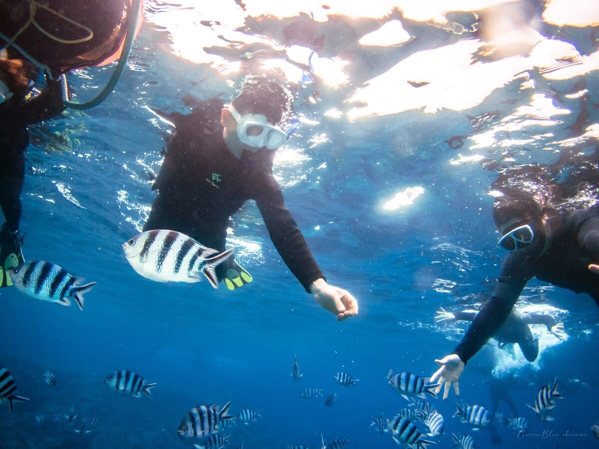 열대어에게 손짓하는 60대 오키나와 시니어 패밀리 스노클링 참가자