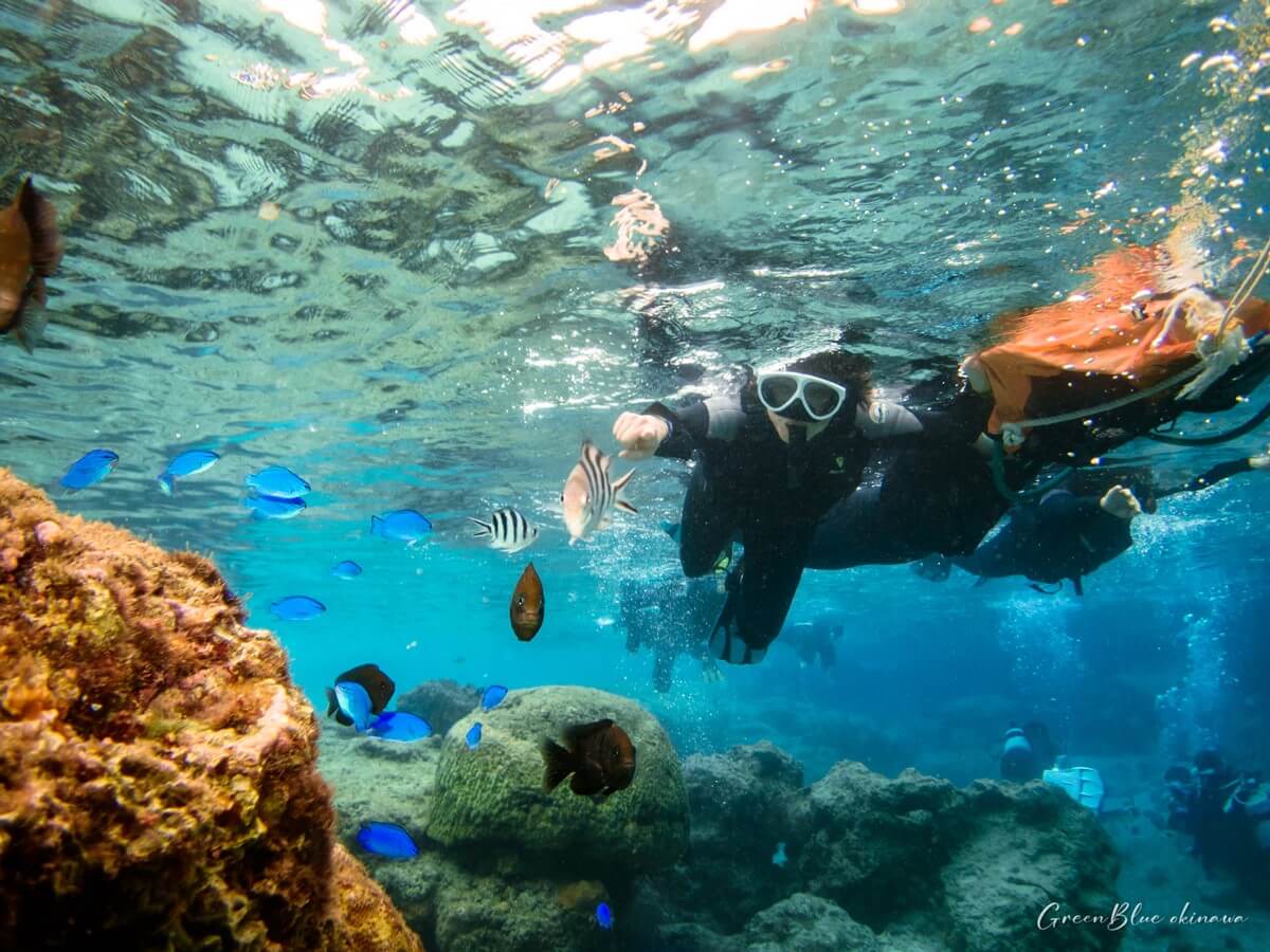 열대어 관찰을 즐기는 오키나와 시니어 스노클링 프로그램 참가자