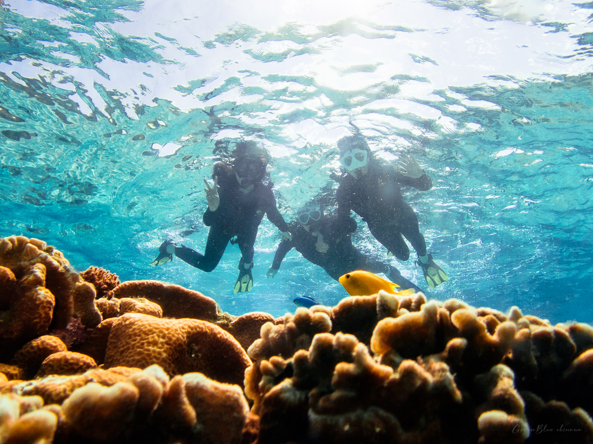 2~5인 가족 투어