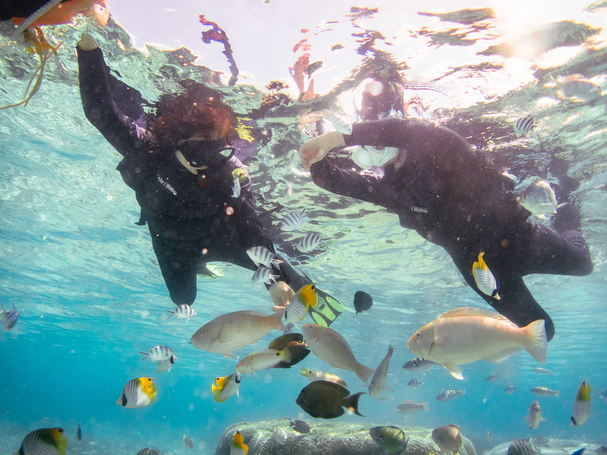 시니어 패밀리 스노클링