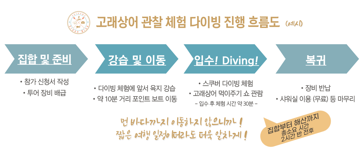 고래상어-체험-다이빙-진행-흐름